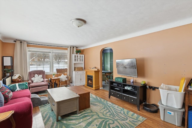 living room with light wood-type flooring