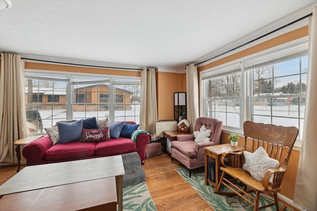 living room featuring light hardwood / wood-style flooring