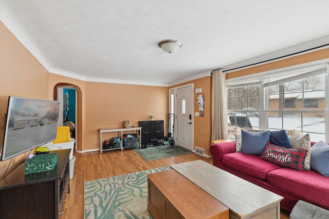 living room with light hardwood / wood-style floors