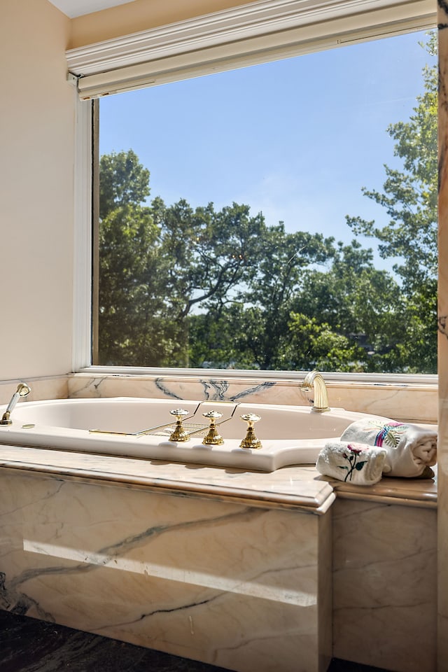 bathroom featuring a bathtub