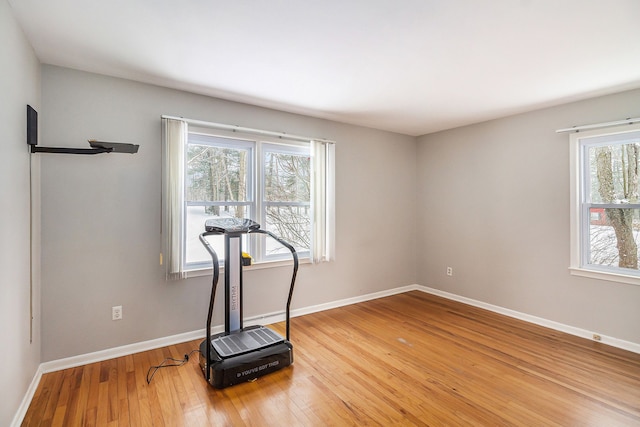 exercise area featuring wood-type flooring