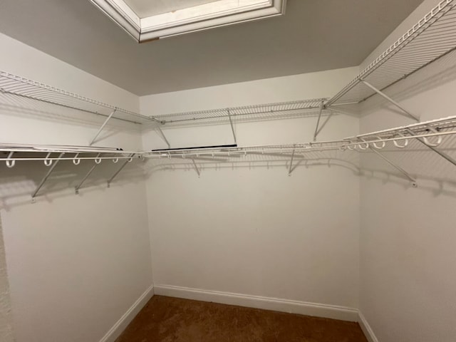 spacious closet with dark colored carpet