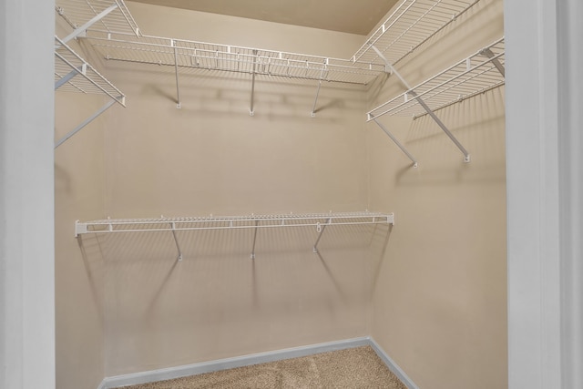 spacious closet with carpet