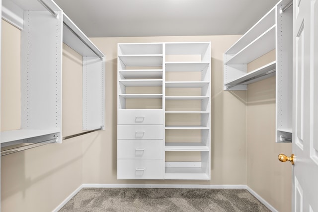 spacious closet with carpet