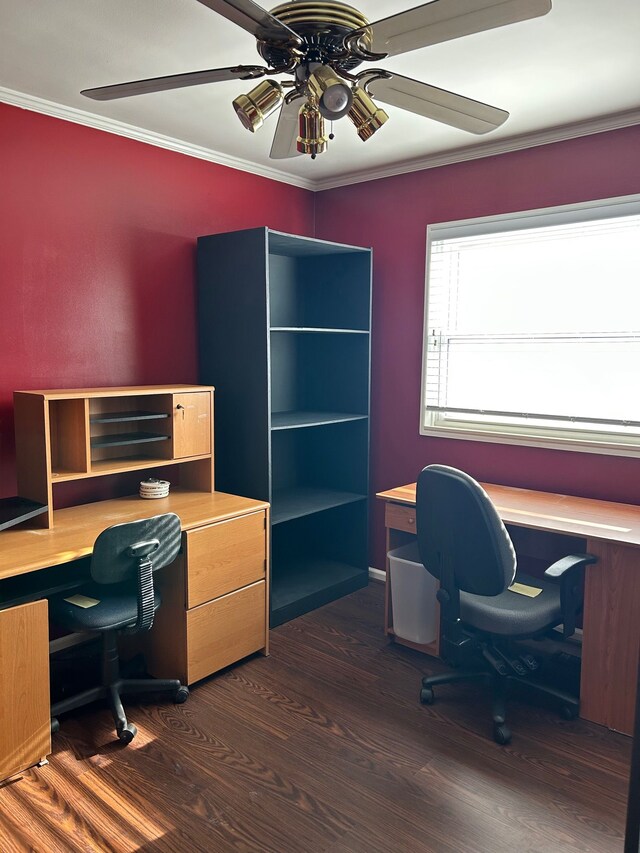 office area with dark wood-style floors, crown molding, and a ceiling fan