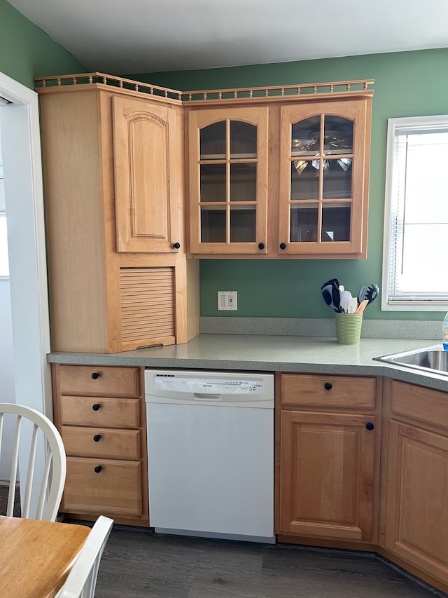 kitchen featuring dishwasher and sink