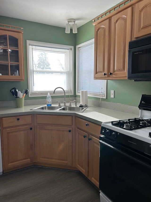 kitchen with dark wood-style flooring, a sink, light countertops, black appliances, and glass insert cabinets