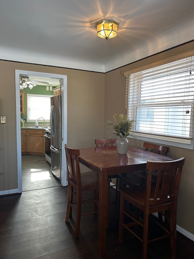 dining area with dark hardwood / wood-style flooring and sink