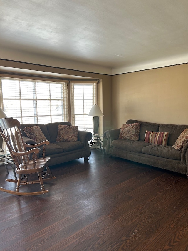 living room with dark hardwood / wood-style flooring