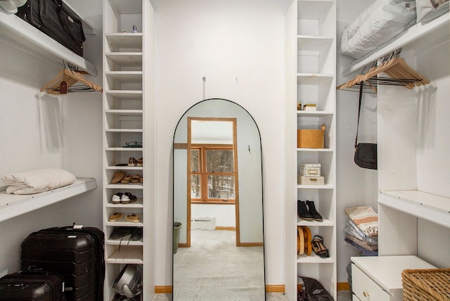 spacious closet featuring light colored carpet