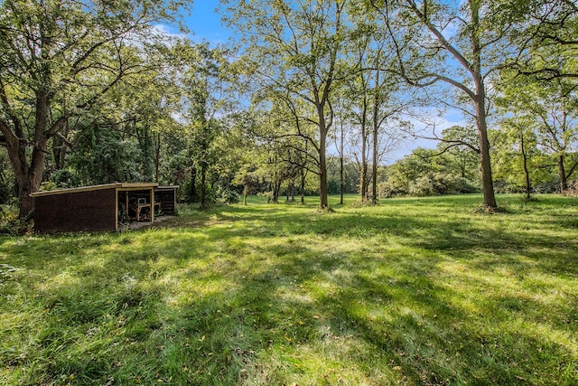 view of yard featuring an outbuilding