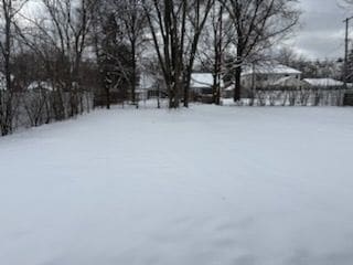 view of yard covered in snow