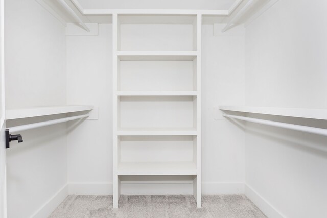 spacious closet with light colored carpet