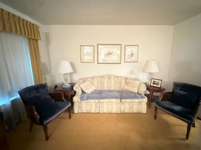 living area with carpet floors