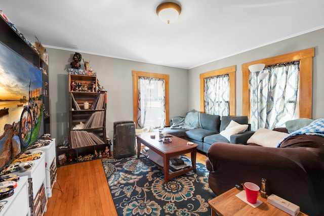 living room featuring ornamental molding and wood-type flooring