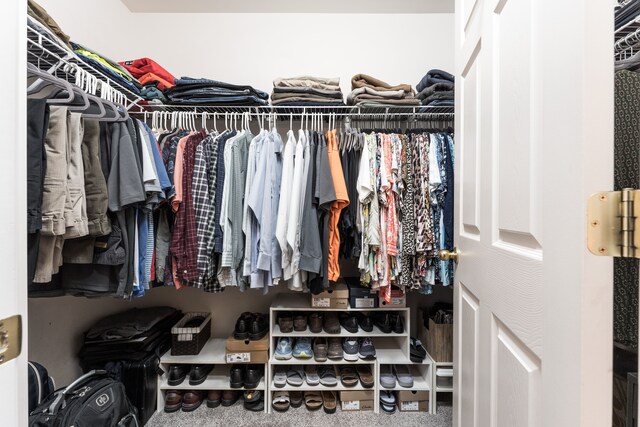 walk in closet with carpet flooring