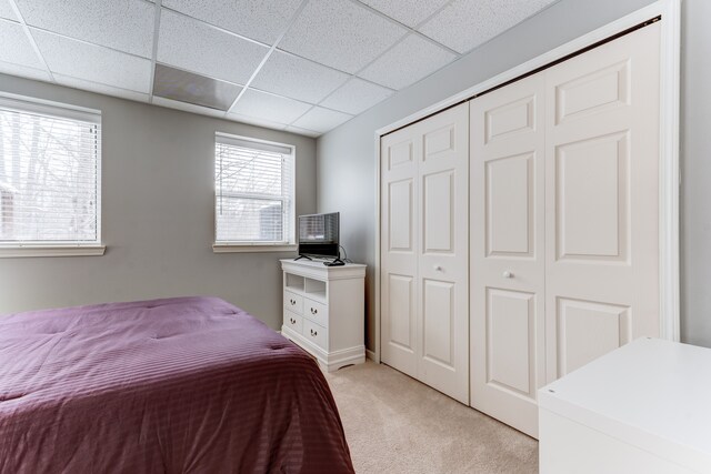 bedroom featuring light carpet, a closet, multiple windows, and a drop ceiling