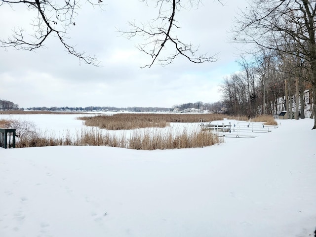 view of yard layered in snow