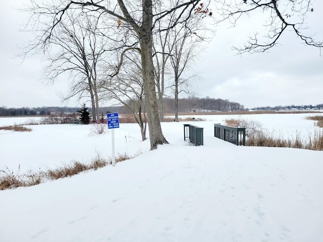 view of yard covered in snow