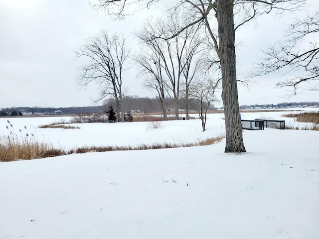 view of yard layered in snow