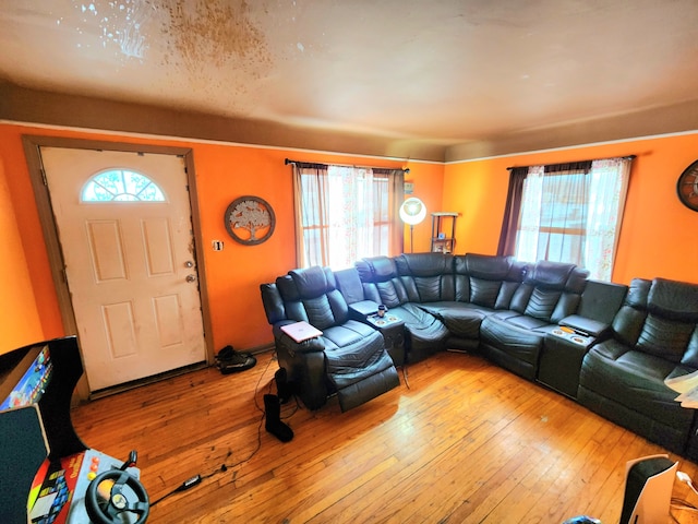 living room featuring light hardwood / wood-style floors and a wealth of natural light