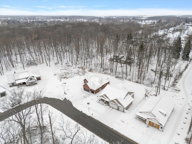 view of snowy aerial view