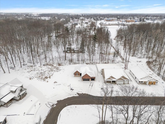 view of snowy aerial view