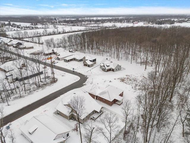 view of snowy aerial view