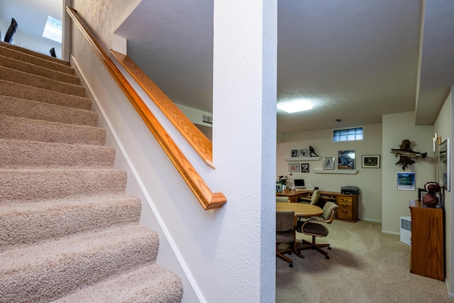 stairs with carpet floors