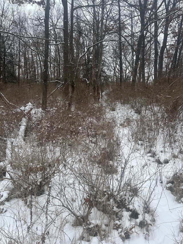 12840 Larkins Rd, Brighton MI, 48114 land for sale