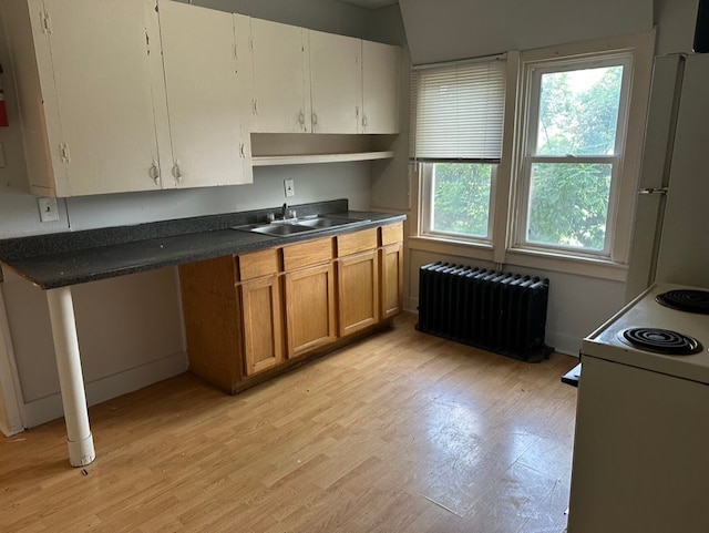 kitchen featuring white appliances, light wood-type flooring, white cabinetry, radiator heating unit, and sink