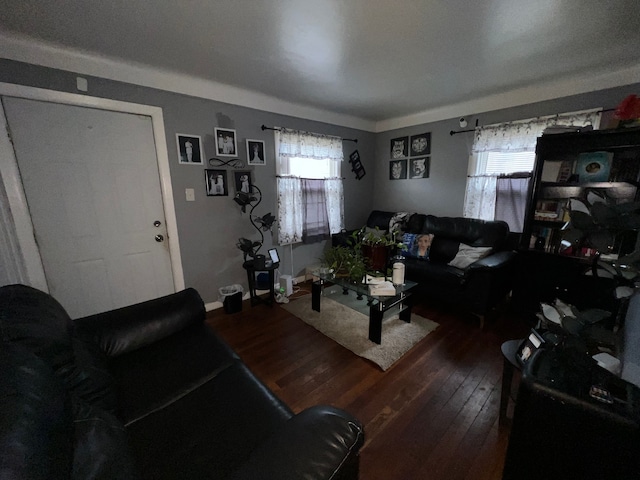 living room featuring hardwood / wood-style flooring