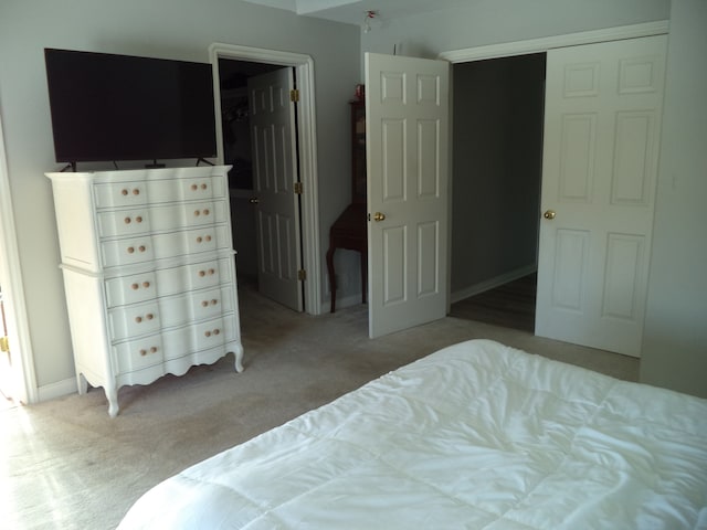 bedroom featuring light colored carpet and a closet