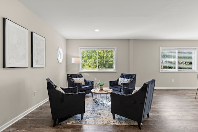 living room with dark hardwood / wood-style flooring