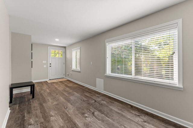 entrance foyer with dark wood-type flooring