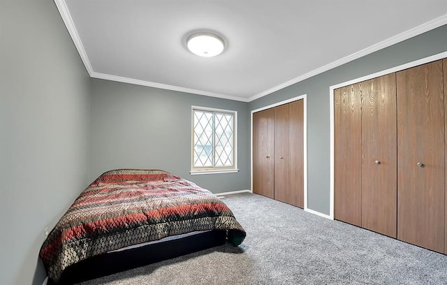 bedroom with two closets, ornamental molding, and carpet floors