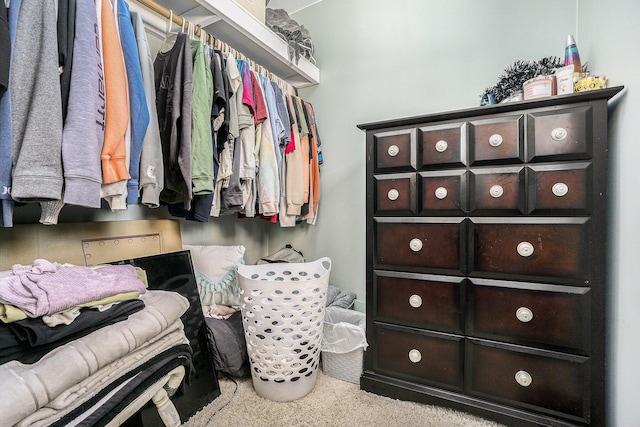 spacious closet with light carpet