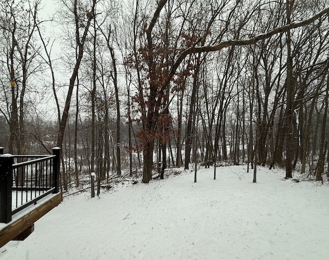 view of snowy yard