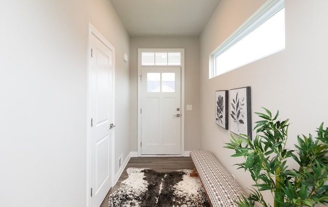 entryway featuring dark hardwood / wood-style floors