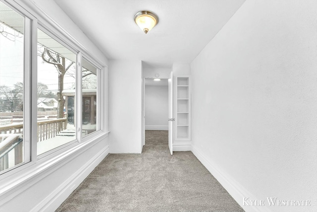 spacious closet with carpet floors