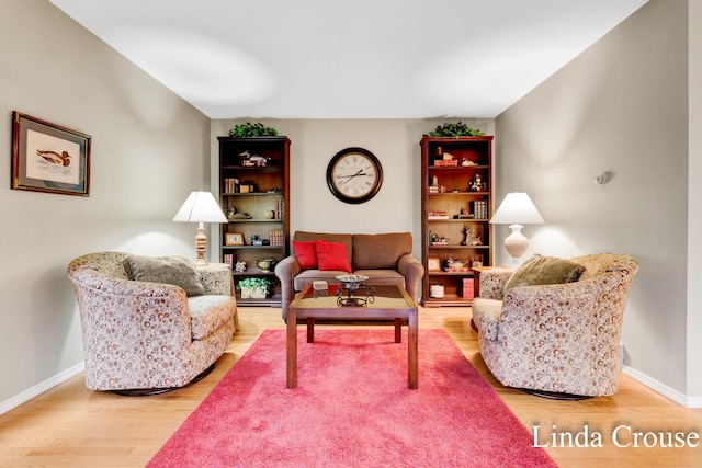 living room with hardwood / wood-style floors