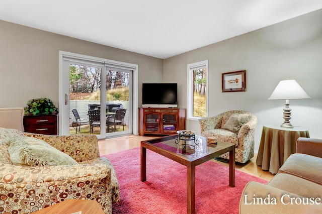 living room featuring light hardwood / wood-style floors