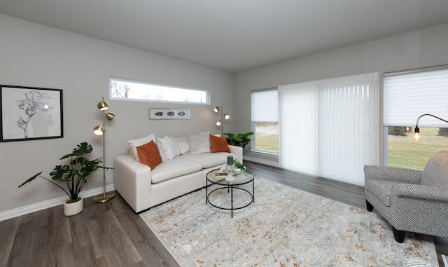 living room with dark hardwood / wood-style floors