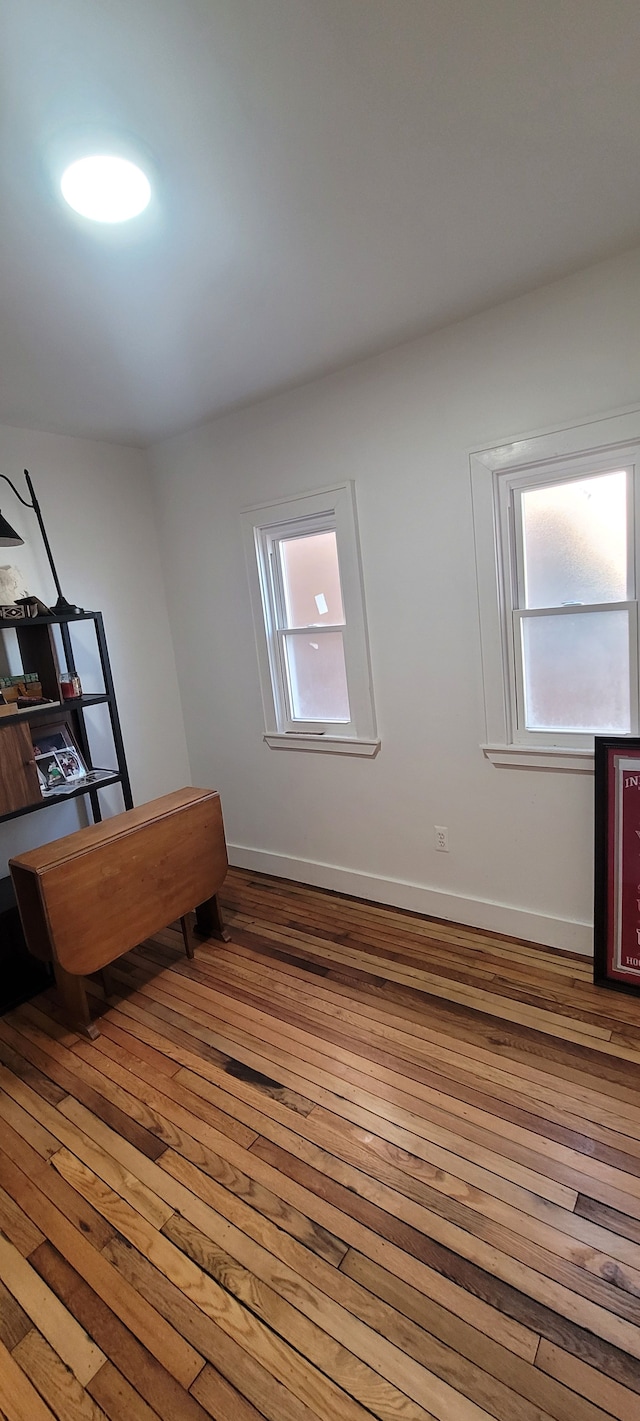 interior space featuring a healthy amount of sunlight, baseboards, and wood-type flooring