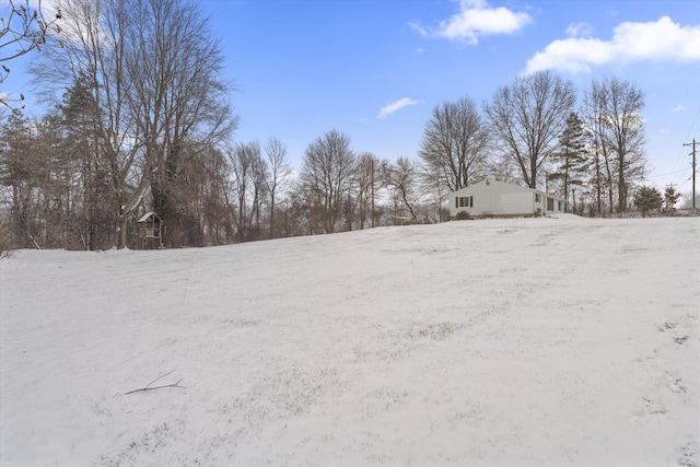 view of yard covered in snow