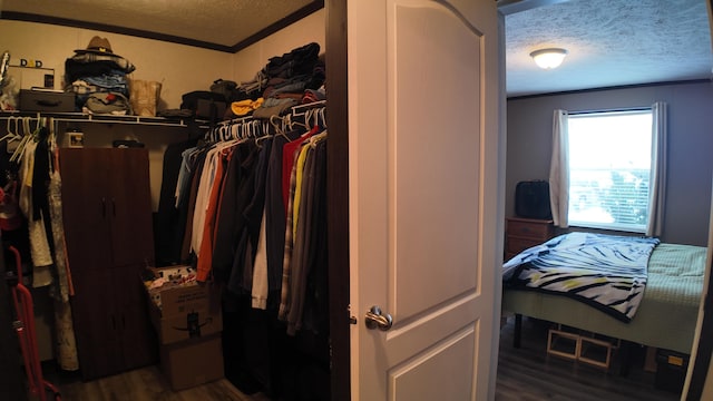 spacious closet with dark wood-type flooring