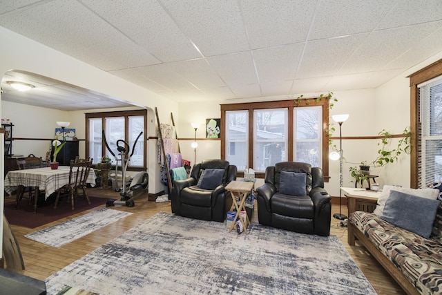 living room featuring a paneled ceiling, hardwood / wood-style floors, and plenty of natural light