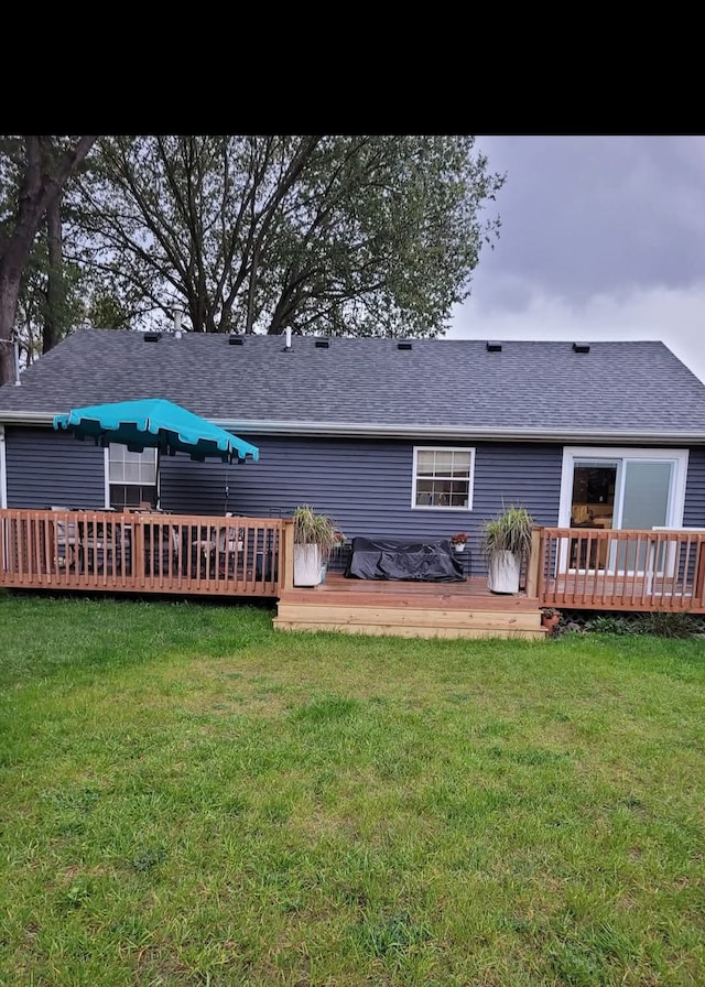 back of house featuring a yard and a deck