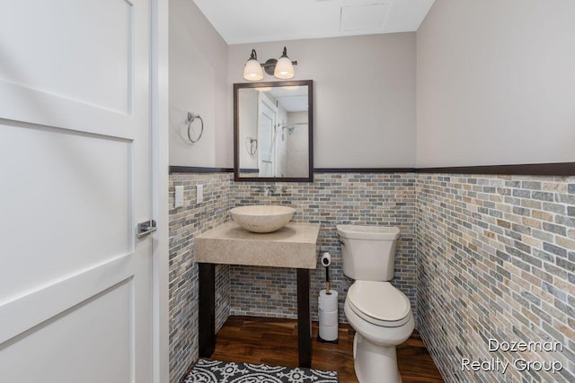 bathroom with sink and toilet