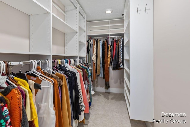 spacious closet with light colored carpet